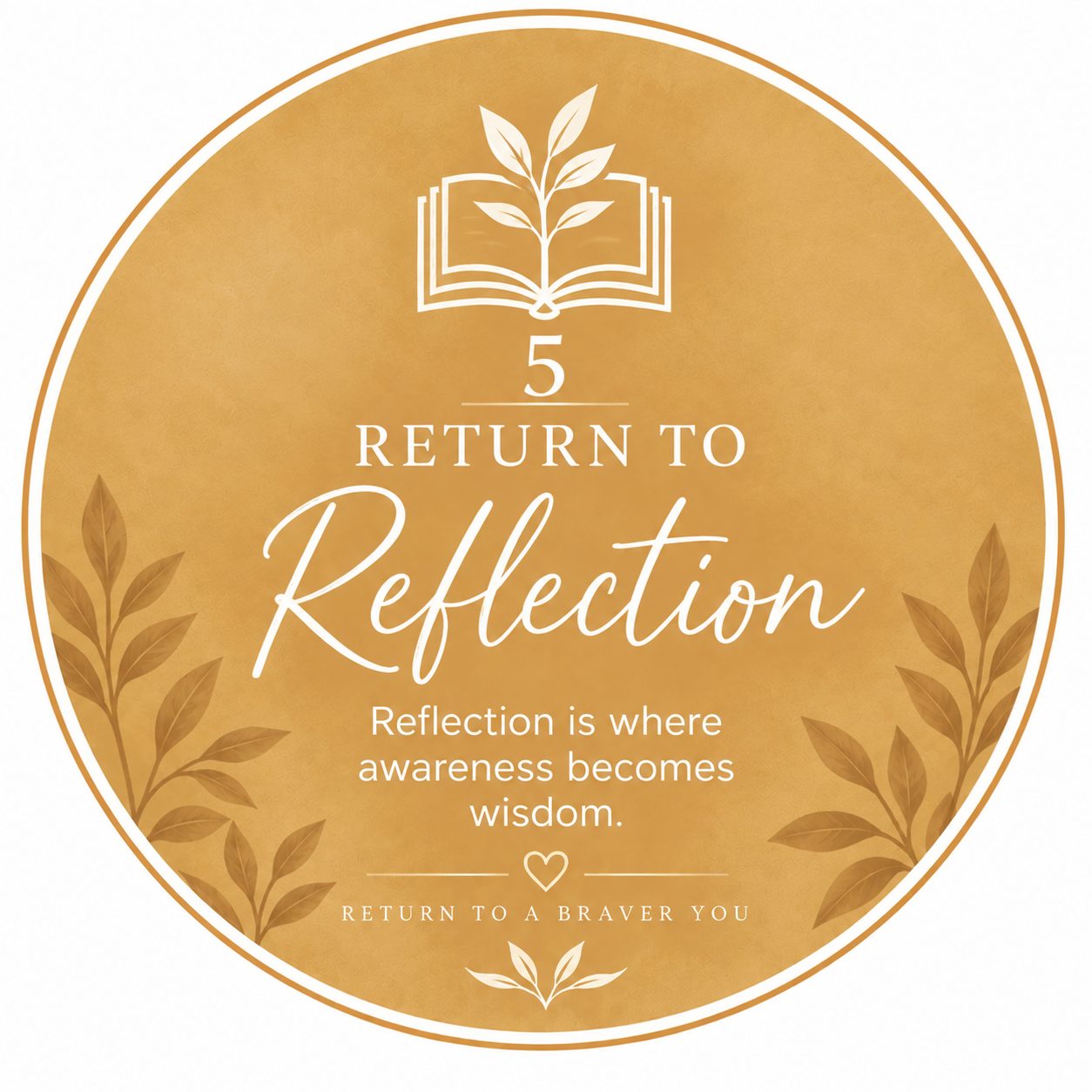 Return to Reflection